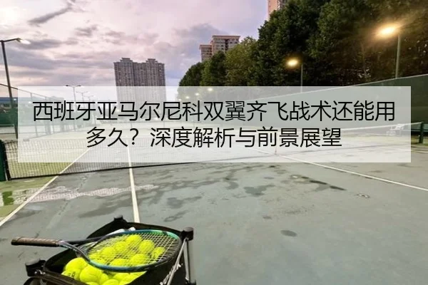 xi-ban-ya-ya-ma-er-ni-ke-shuang-yi-qi-fei-zhan-shu-hai-neng-yong-duo-jiu-shen-du-jie-xi-yu-qian-jing-zhan-wang-2-115.jpg